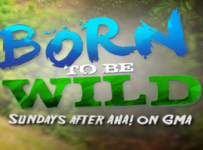 Born To Be Wild May 5 2024 Replay Episode
